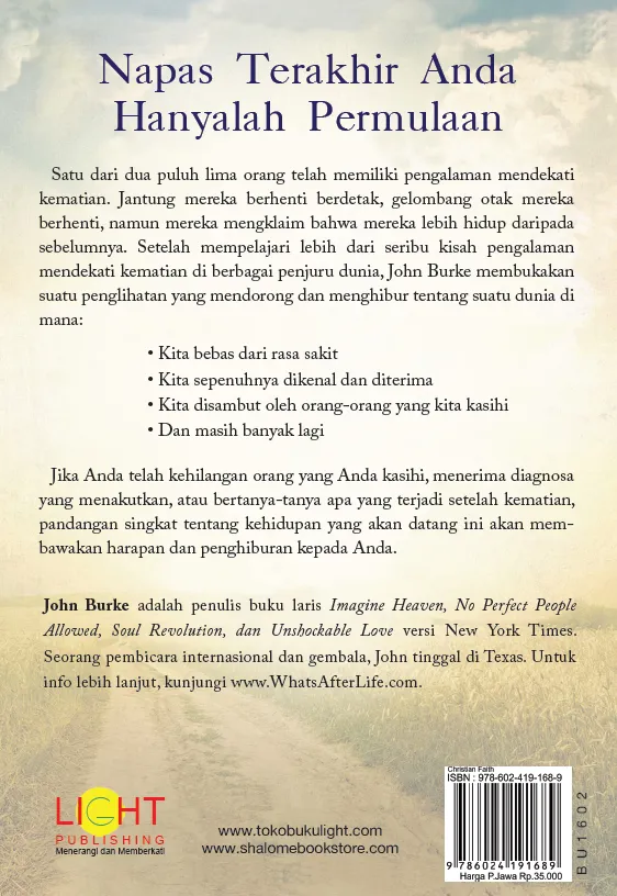 Buku Apa yang Terjadi Setelah Kehidupan di Bumi - What's After Life oleh John Burke