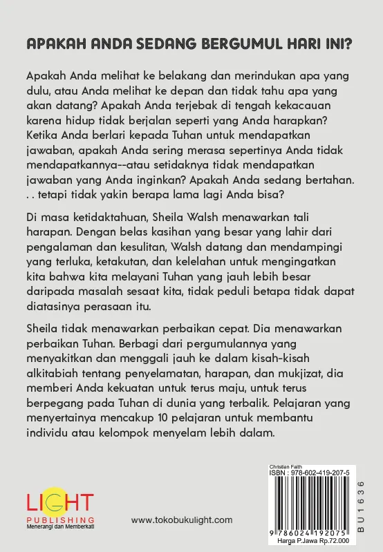 Buku Bertahan Ketika Anda ingin Melepaskan - Holding on When You Want to Let Go oleh Sheila Walsh