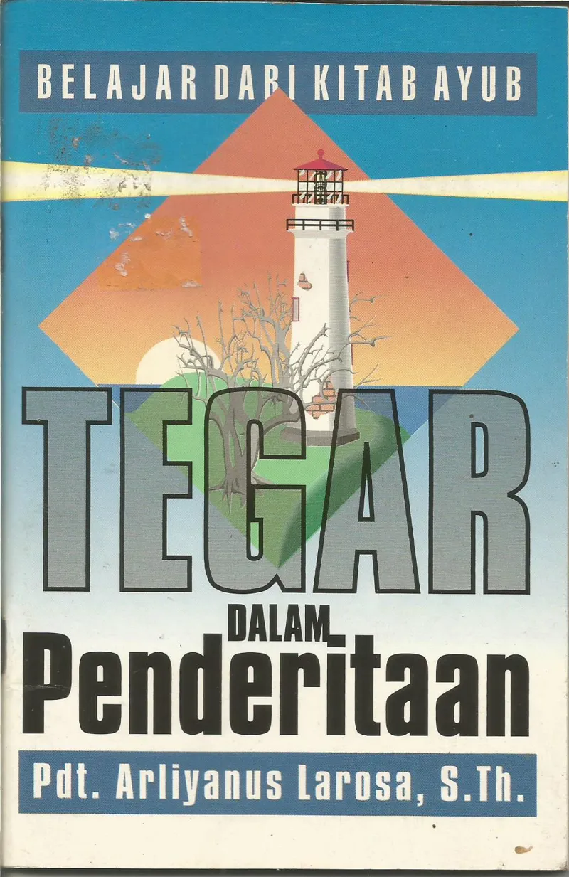 Buku Tegar Dalam Penderitaan oleh Arliyanus Larosa
