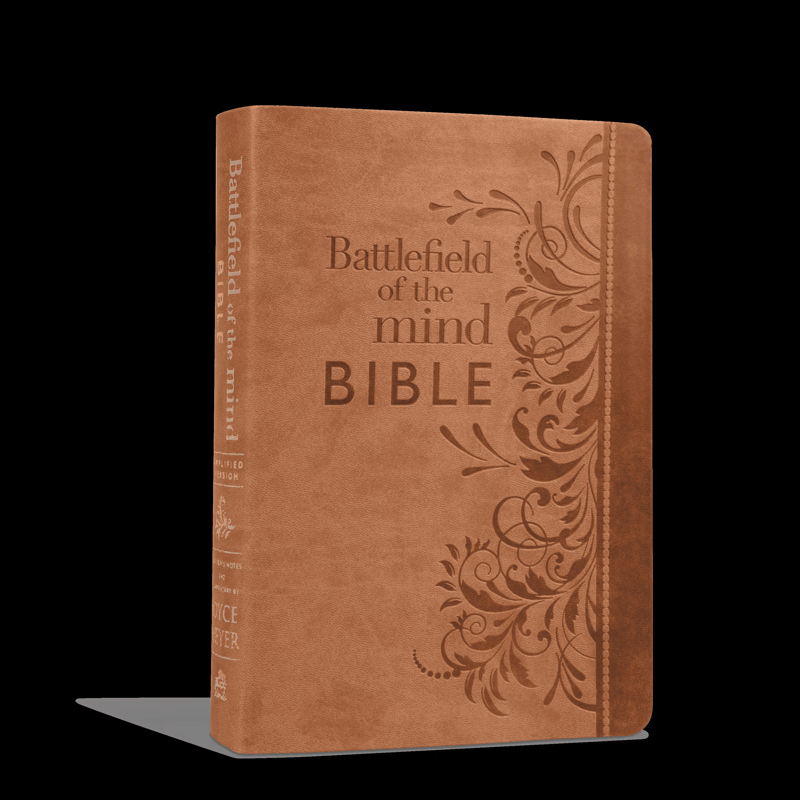 Buku Battlefield Of The Mind Bible - Amplified Bible oleh Joyce Meyer