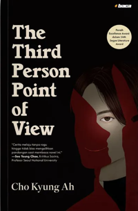 The Third Person Point of View